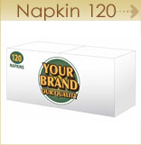 Napkin 120