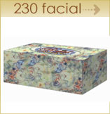 Regal facial 230ct